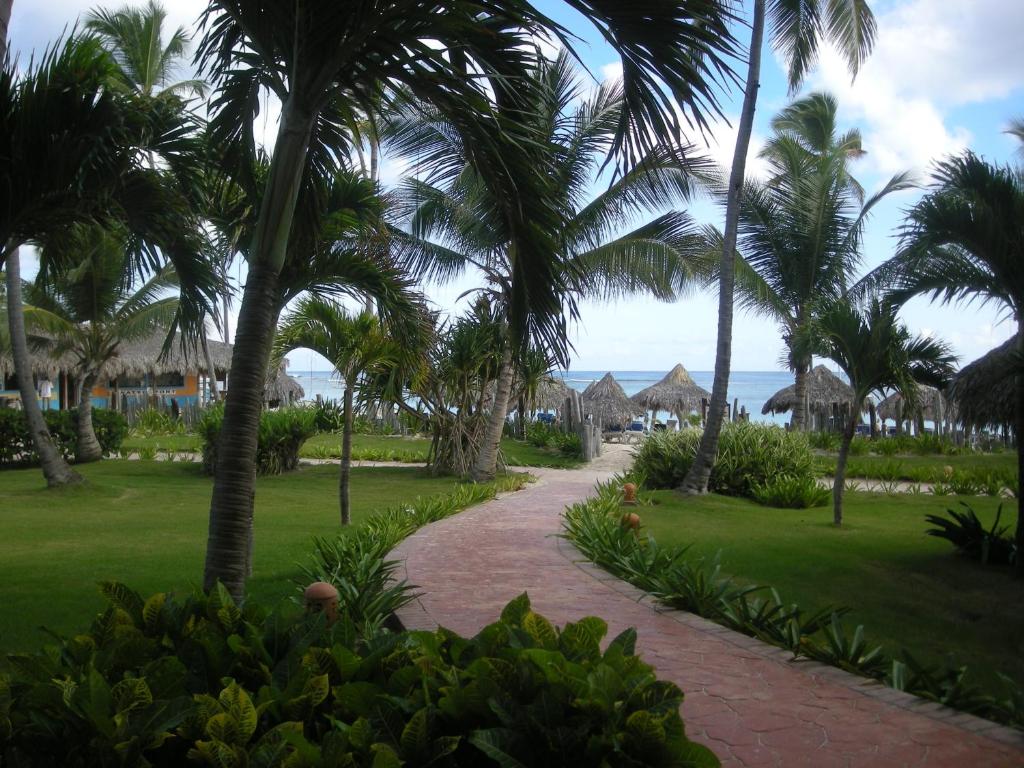 VIK hotel Arena Blanca — Beach in Bavaro, La Altagracia