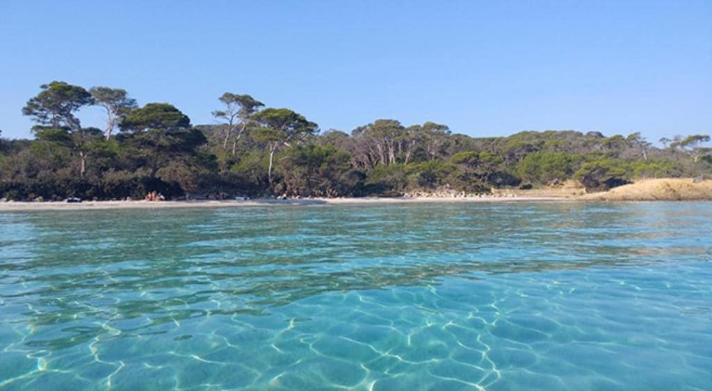 Résidence avec piscine près de la mer à la LONDE - 1