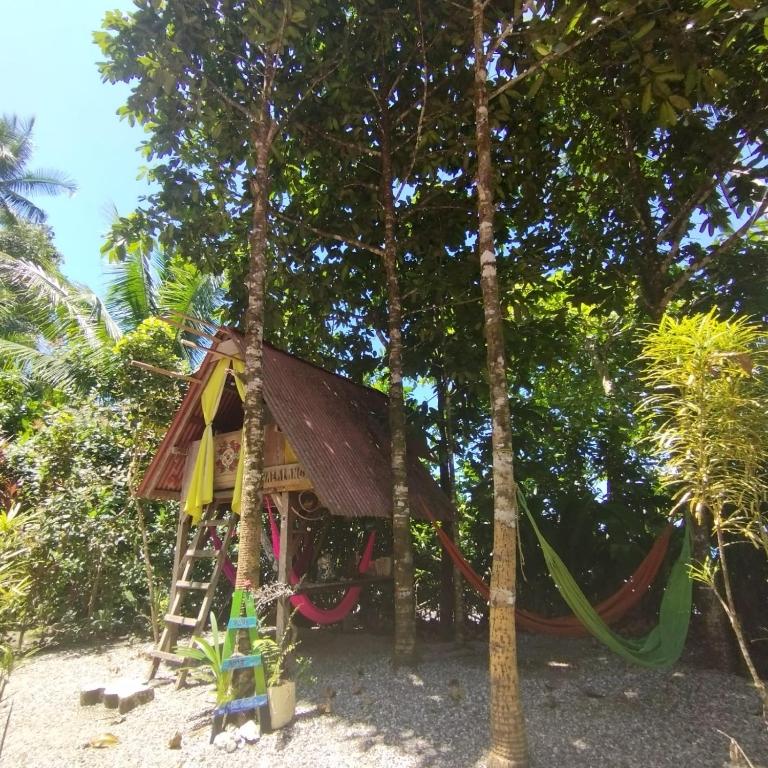 Paraisurf colombia - 2