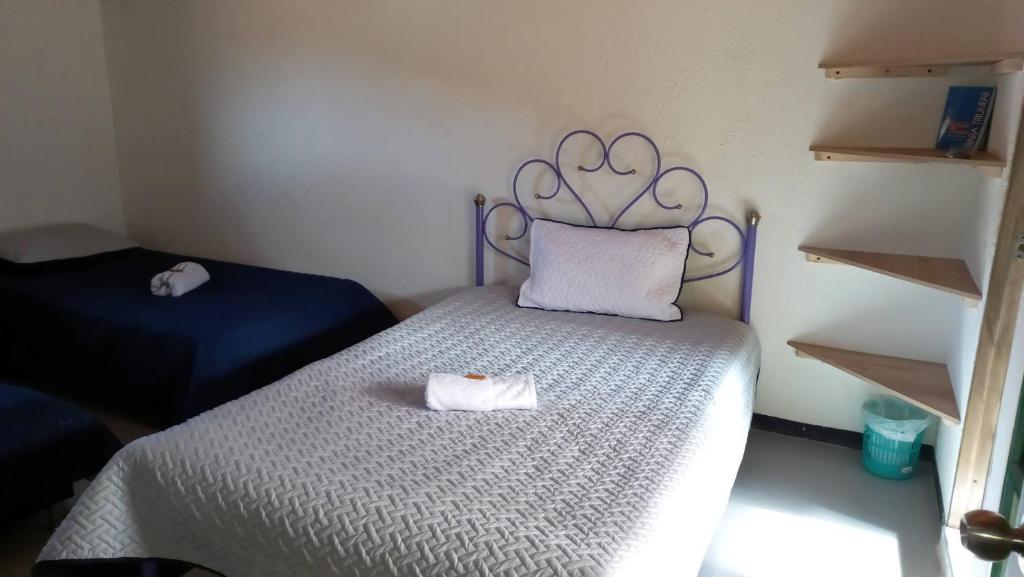 Hospedaje y Camping del Rio - 2