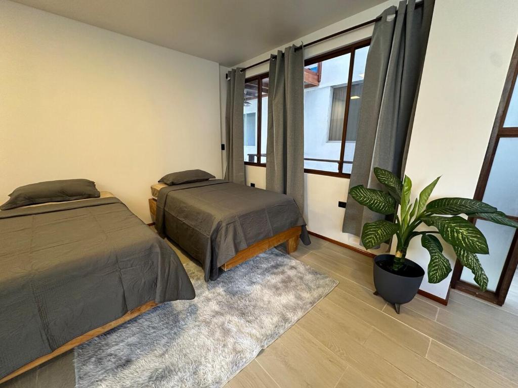 Beautiful oceanfront suite - 5