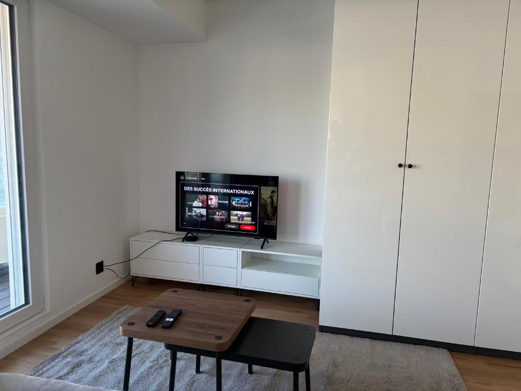 Expérience unique à Lausanne, Top floor Apartment on Lausanne Train Station - 4