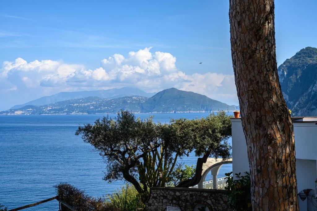 Il Quadrifoglio - Sea View Terrace - 1