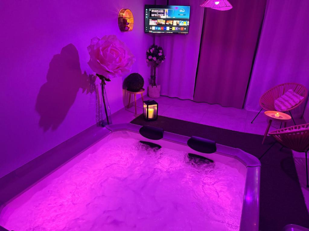 Villa neuve piscine Bali Spa Vue Pyrénées 5 min Cité - 2