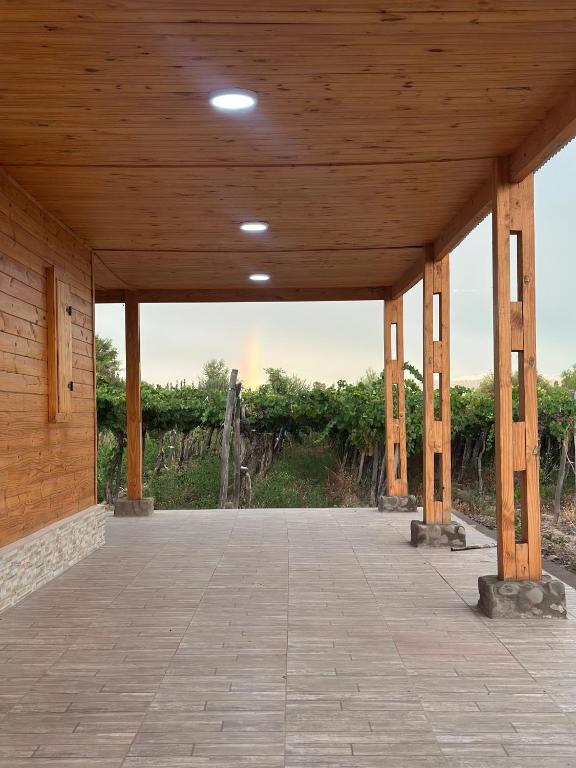 Cabañas Finca Don Tulio - Valle de Ullum - 2