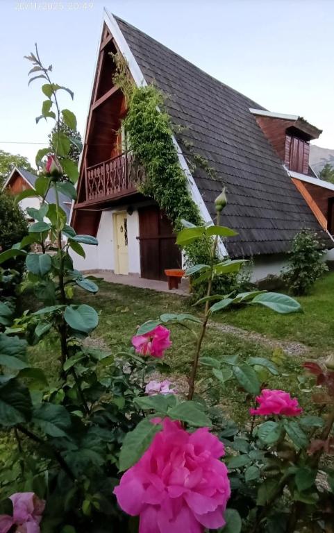 Amancay Alpinas - 5