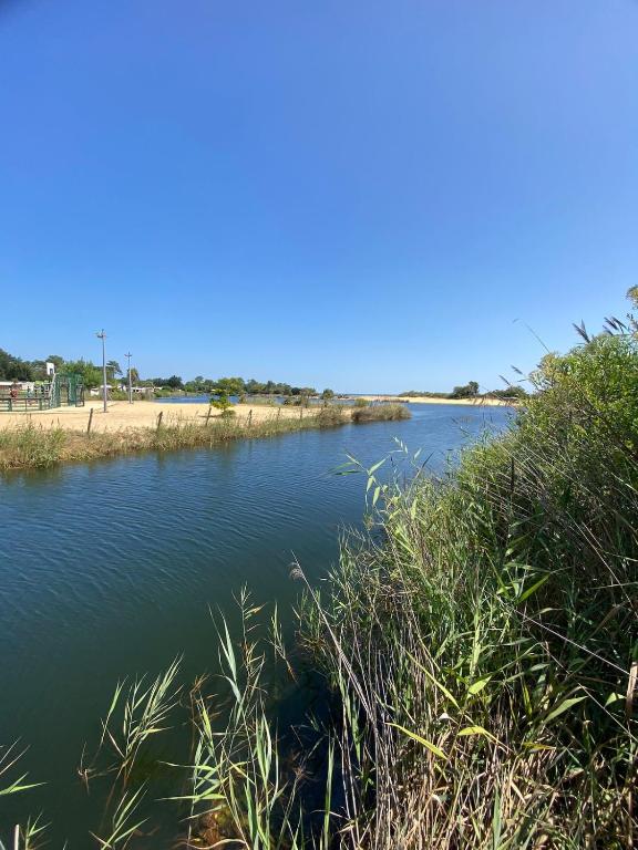 Cap-Ferret Camping Les Viviers 6 pers - Zone Idéale proche piscine et plage - 4