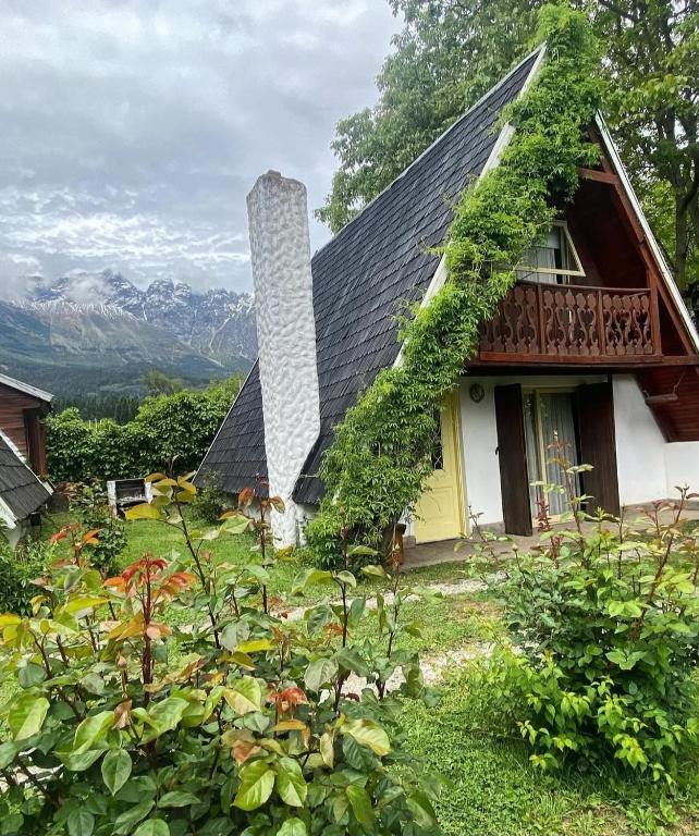 Amancay Alpinas - 2