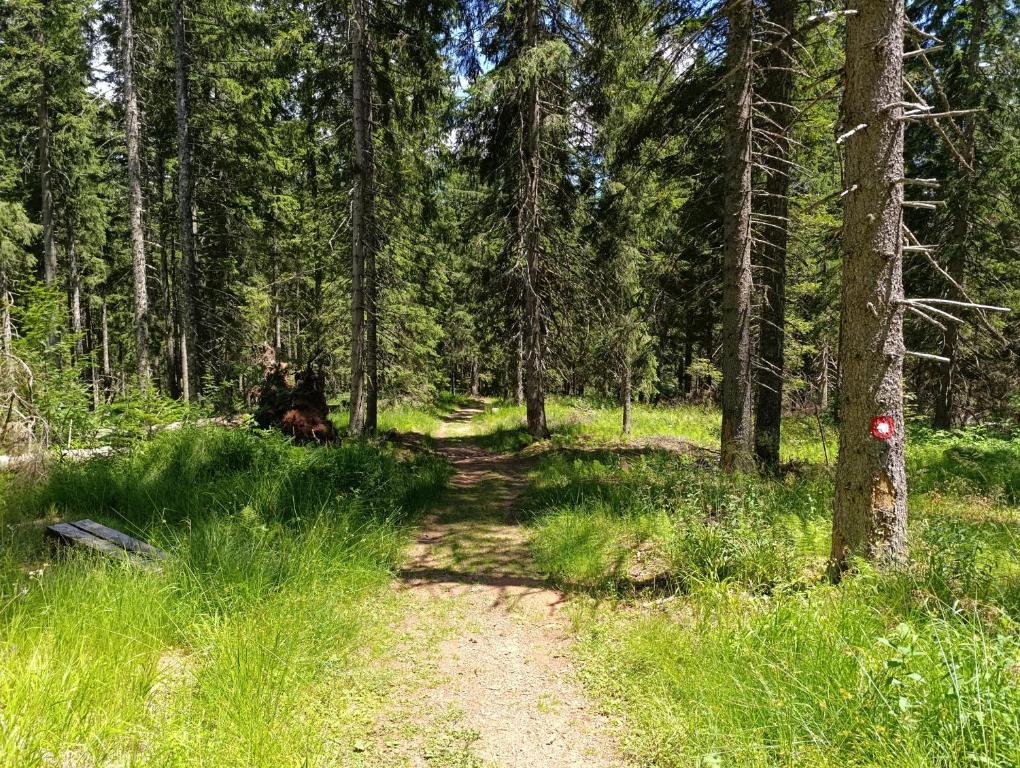 Vila Jahor Apartman 18 Jahorina - 3
