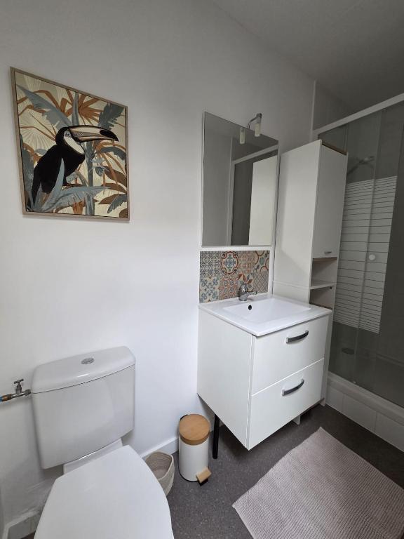 Appartement cosy hypercentre gare port à 5 min d'Arcachon - 3