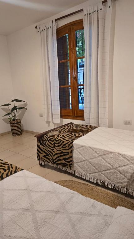 La Casona Hostel & Café - 3