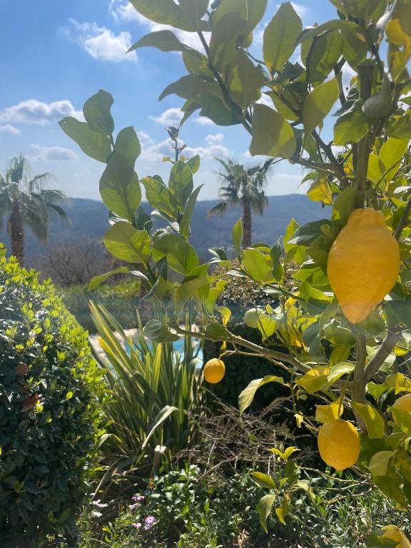 Villa Heed Tourrettes Sur Loup - 5