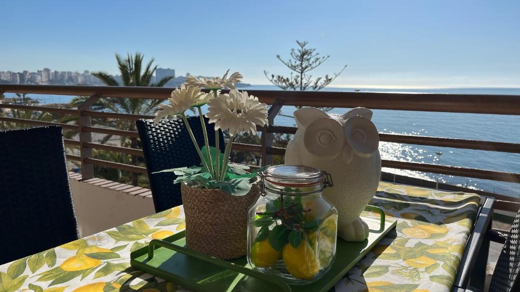 Apartamento en la playa de la Albufera Alicante - 3