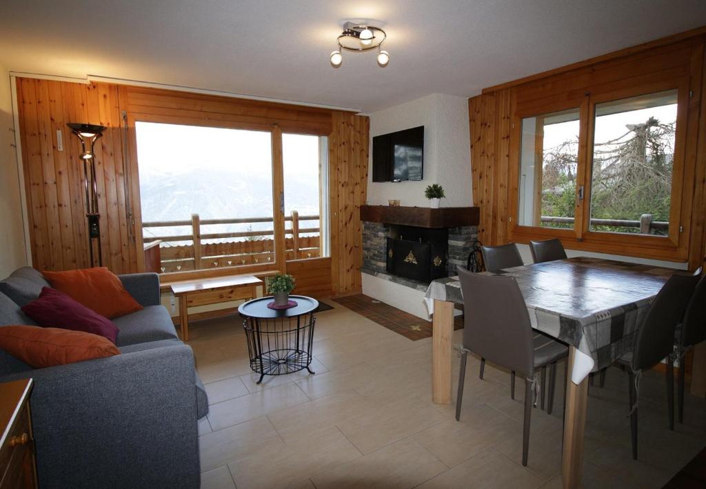 Asters 24 pres de la telecabine a Anzere avec vue sur les Alpes - 2