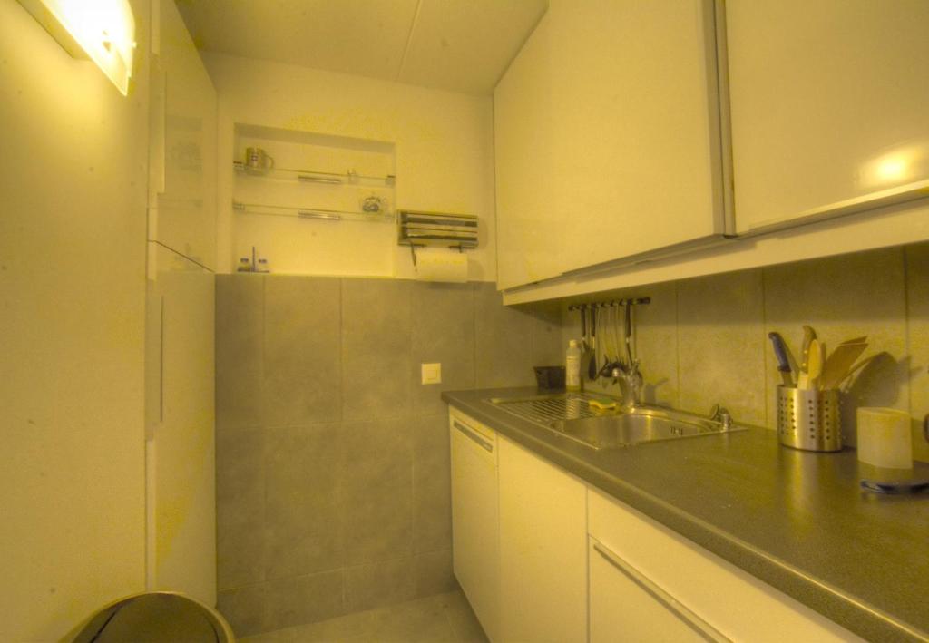 Appartement Cristal 414 pres de la telecabine a Anzere avec vue sur les Alpes - 5