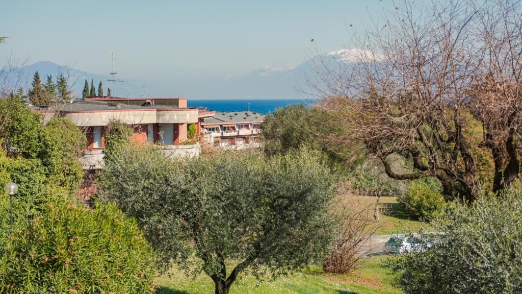 Tra Cielo e Terra - Italian Homing - 1