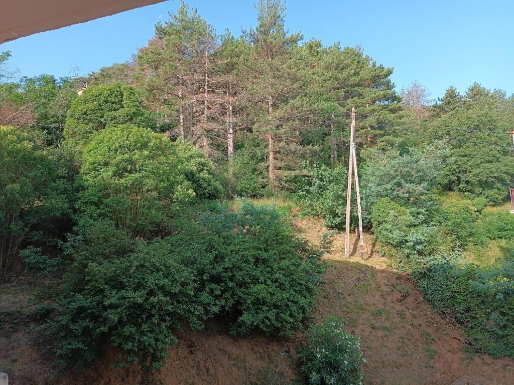 Studio DIUMENGE - 2