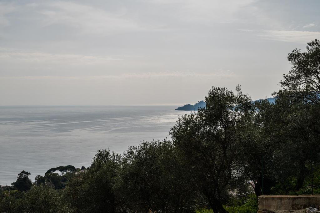 Rapallo - Appartamento 2 camere vista mare e piscina - 5