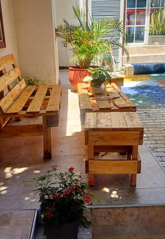 Hostal Casa del Palmar - 2