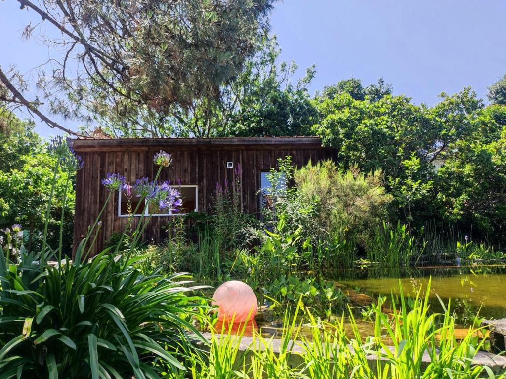 CHAMBRE DANS CABANE EN BOIS avec PISCINE ECOLOGIQUE - 2