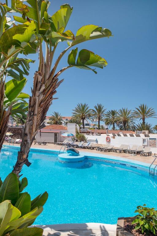 Modern 1 Bedroom Apartment with Terrace and AC Near Beach in Las Americas - 3