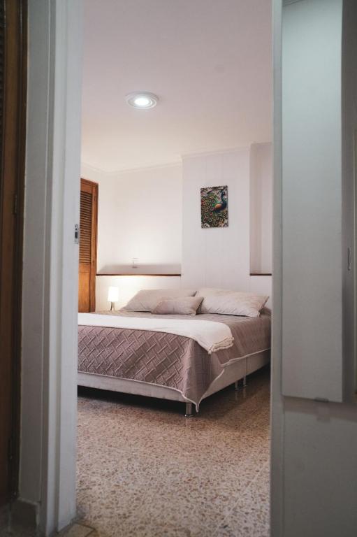 Spacious Apartment in Laureles - 3