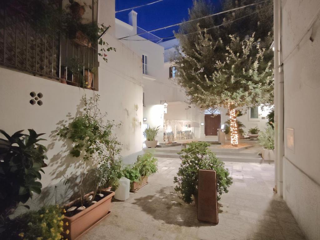 Forno Romano Apartment - 3