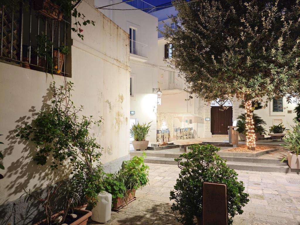 Forno Romano Apartment - 4