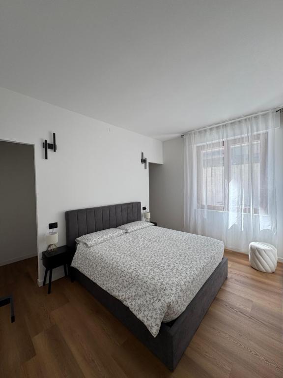 Black Swan Apartment - 4