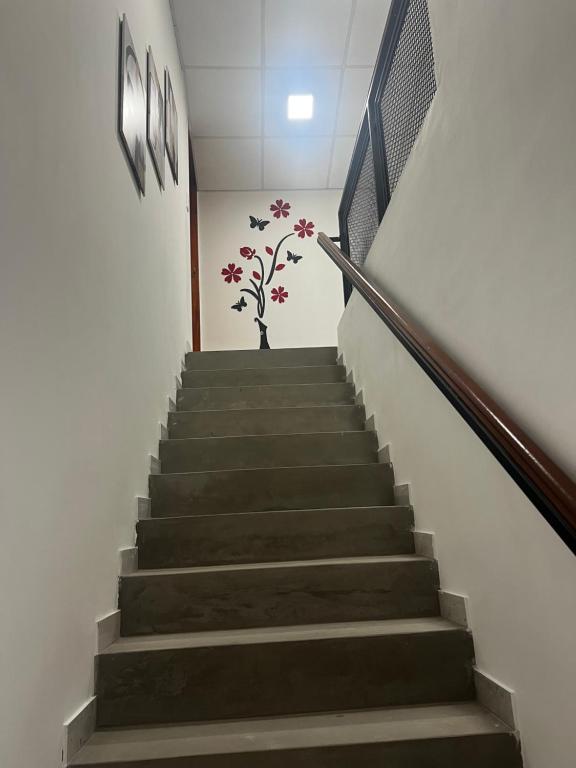 Kallpa 2 Planta Alta - 3