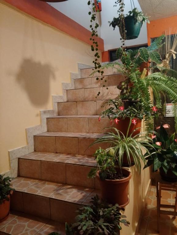 Casa Martinez Riobamba - 4