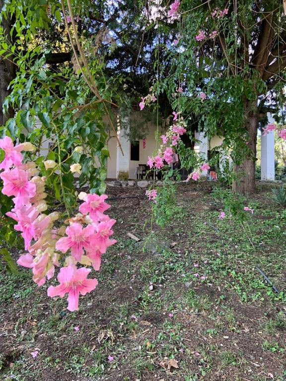 Casa grande y hermosa en alquiler por día en San Javier,traslasierra, Córdoba - 3