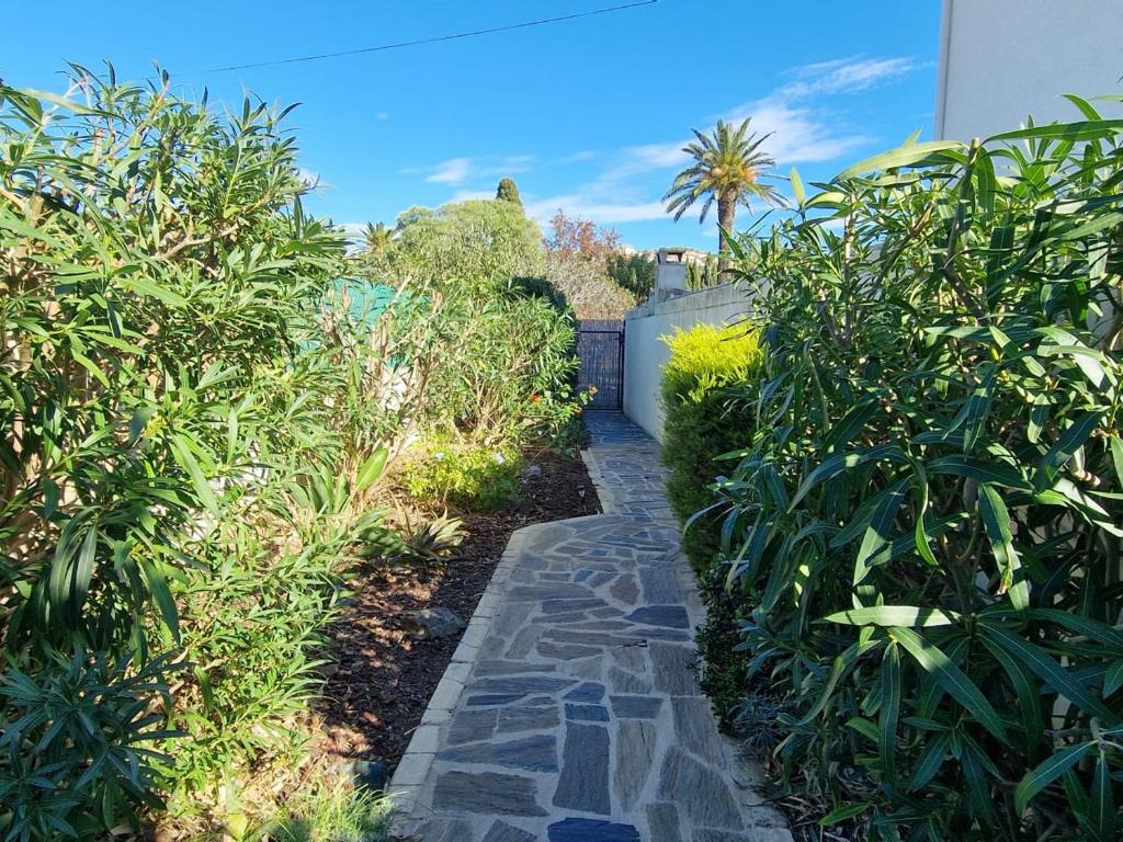 Banyuls-sur-Mer, appt climatisé, terrasse, proche plages - FR-1-309-390 - 5