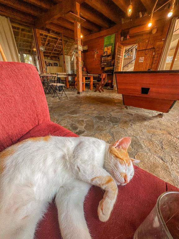 Hostel Anton - 5