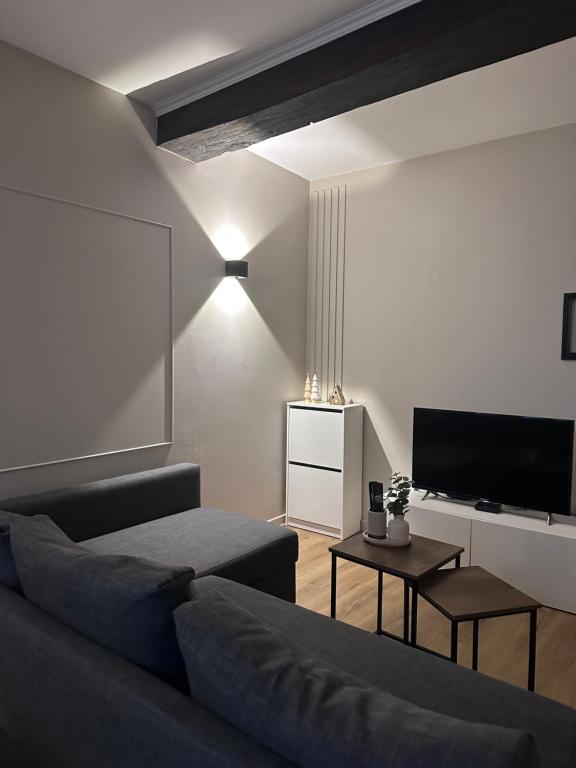 Appartement charmant hypercentre avec patio privé et parking - 3