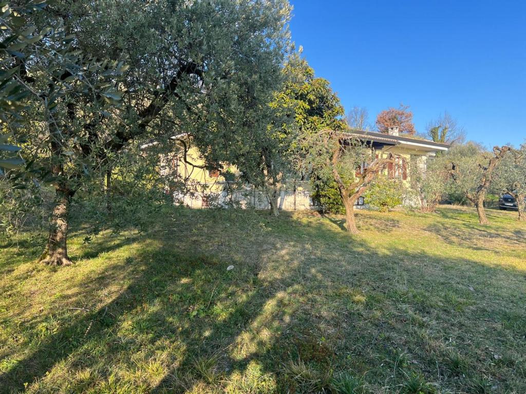 Villa Cà Bottura agli ulivi - 5