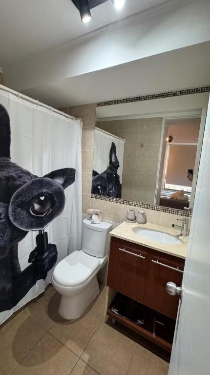 Departamento vista entel - 3