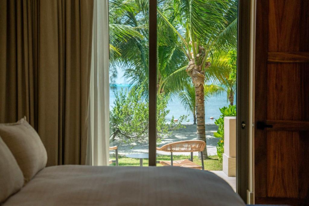 Rise and Dive - 3BR - Beach Front Private Terrace - 5
