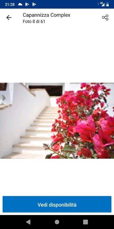 Casa Sardegna Budoni - 4