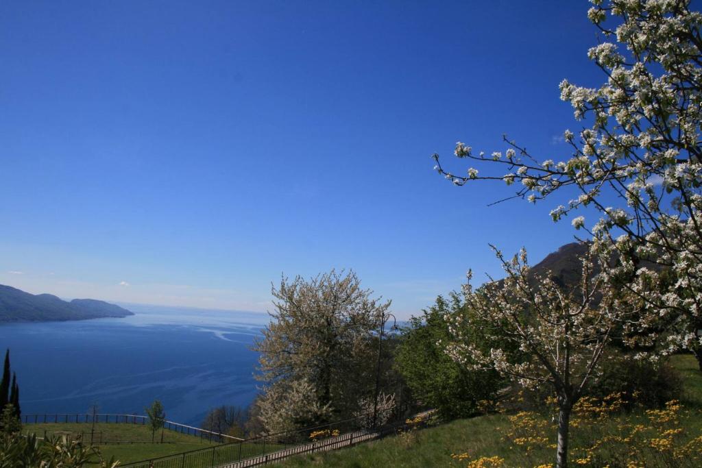 Appartamento Anna 701 - Gardagate - 4