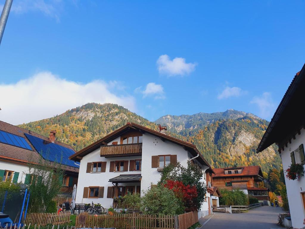 Ferienwohnung Auer - 1