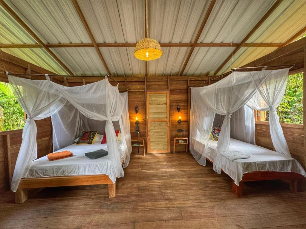 Madre Selva Eco Lodge - 4