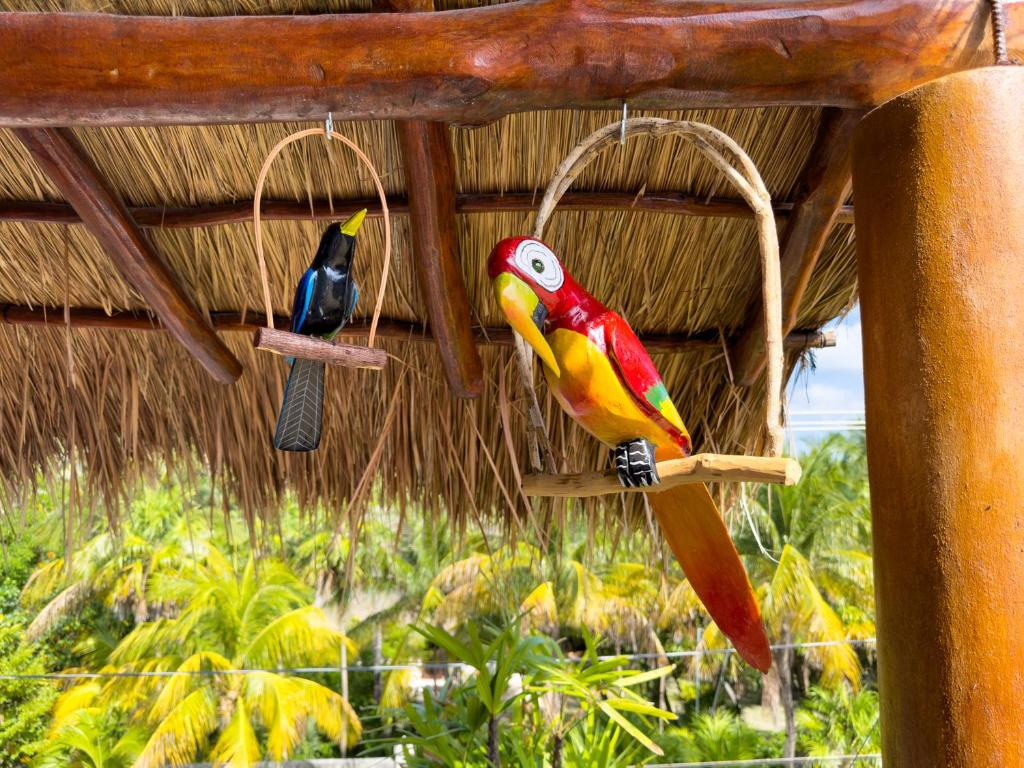 Casa Sonoma - Charming Condos Minutes from Beach & Reef - 5