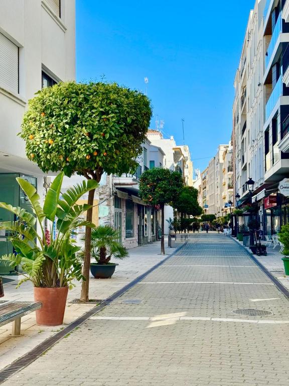 Brisa del Casco Antiguo 2BD - 3