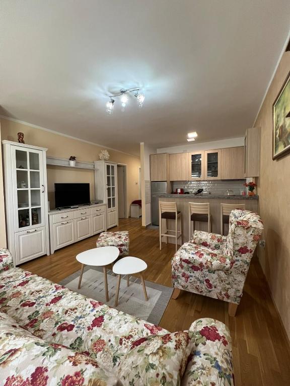Apartment in Novi Sad with Balcony and Free Street Parking - 1