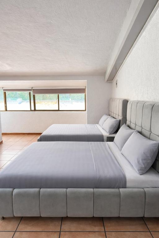 Bowra Suite Nina, Zona Consulado ORQ 8 - 1