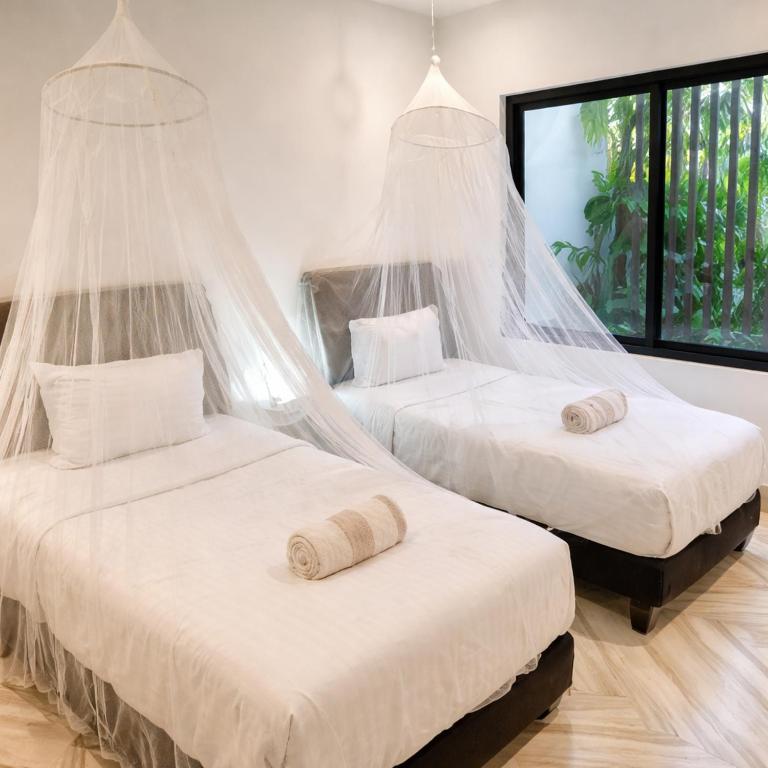 NEW! La veleta 2BR, pool, jacuzzi & gym - 3