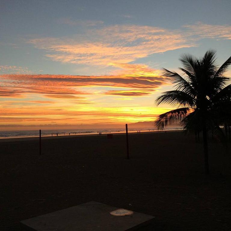 Ảnh 5