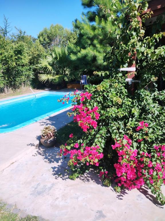 Casa quinta con pileta y parque en San Pedro - 1