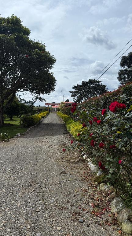 Hotel Campestre El Paraiso - 4